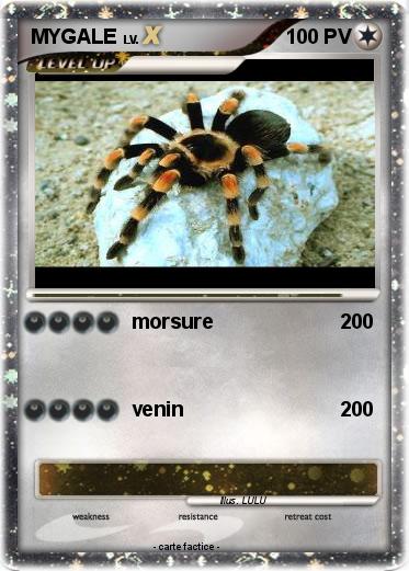 Pokemon MYGALE