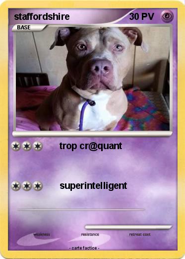 Pokemon staffordshire