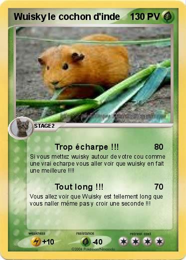 Pokemon Wuisky le cochon d'inde