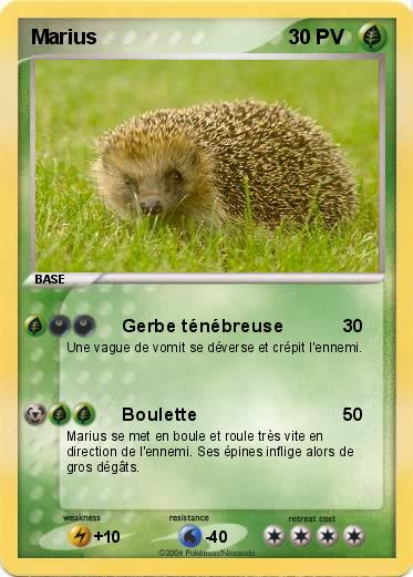 Pokemon Marius