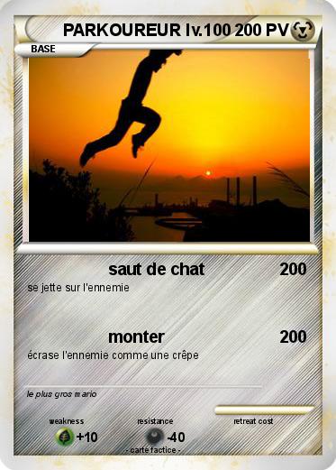 Pokemon PARKOUREUR lv.100