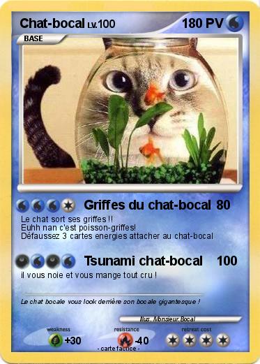 Pokemon Chat-bocal
