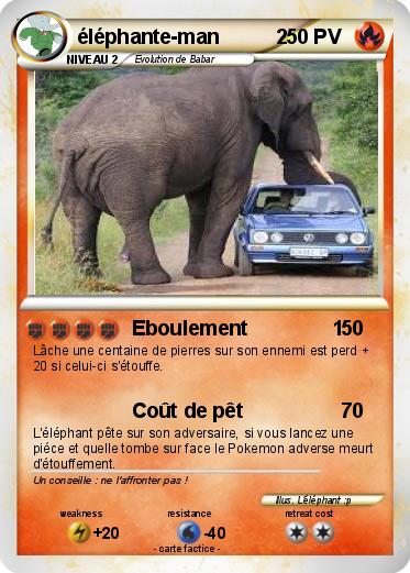 Pokemon éléphante-man          2