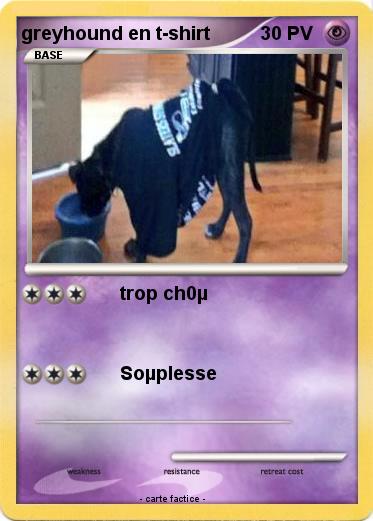 Pokemon greyhound en t-shirt