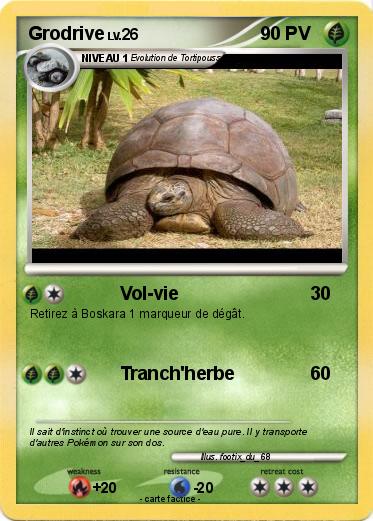 Pokemon Grodrive