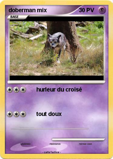 Pokemon doberman mix