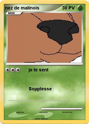 Pokemon nez de malinois