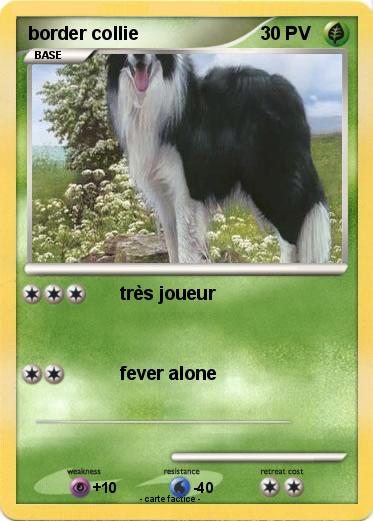 Pokemon border collie