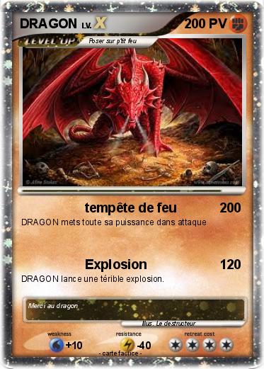 Pokemon DRAGON