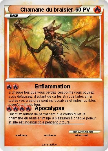 Pokemon Chamane du braisier