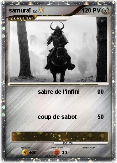 Pokemon samuraï