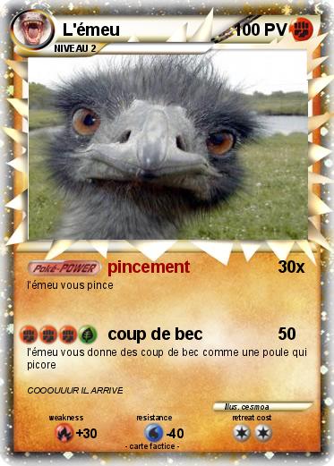 Pokemon L'émeu