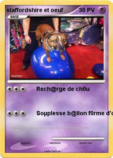 Pokemon staffordshire et oeuf