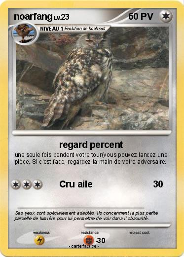 Pokemon noarfang