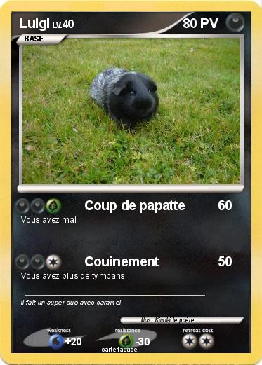 Pokemon Luigi