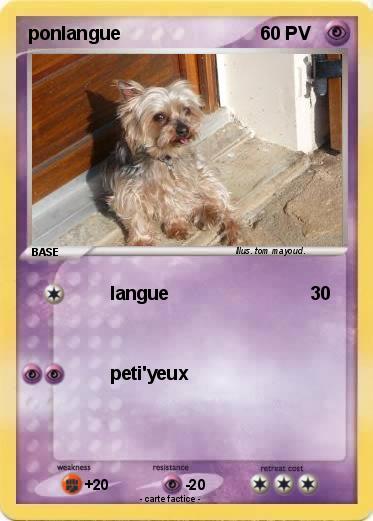 Pokemon ponlangue