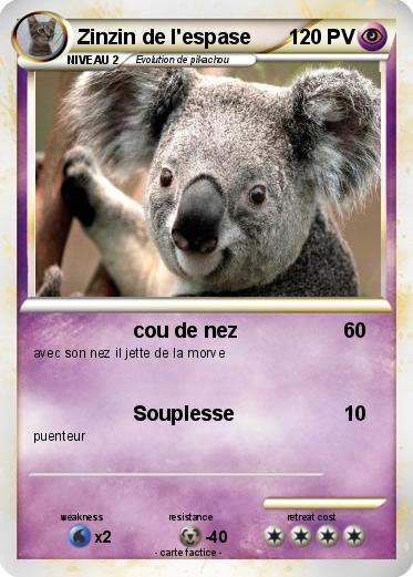 Pokemon Zinzin de l'espase