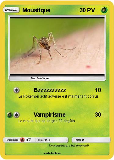 Pokemon Moustique
