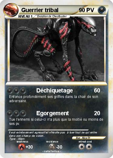 Pokemon Guerrier tribal
