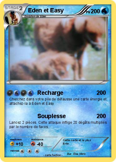 Pokemon Eden et Easy
