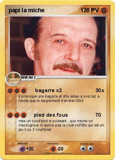 Pokemon papi la miche