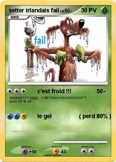 Pokemon setter irlandais fail