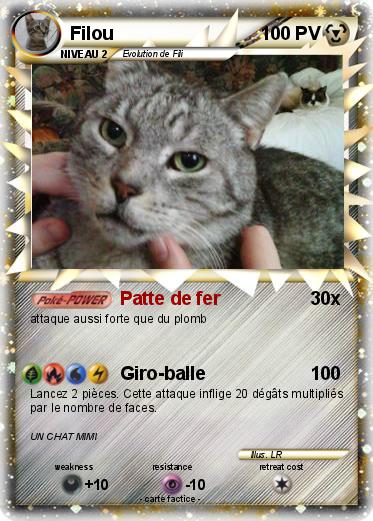 Pokemon Filou