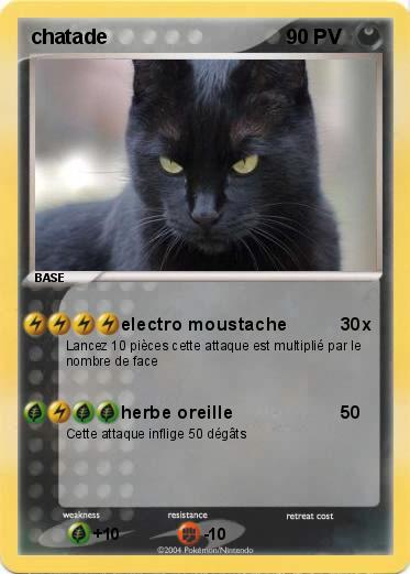 Pokemon chatade