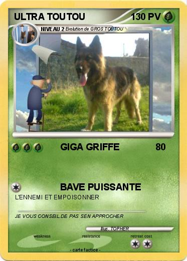 Pokemon ULTRA TOUTOU
