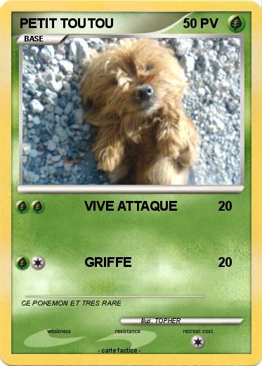 Pokemon PETIT TOUTOU