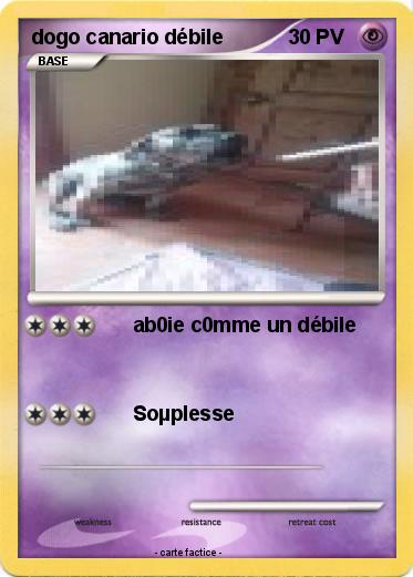 Pokemon dogo canario débile