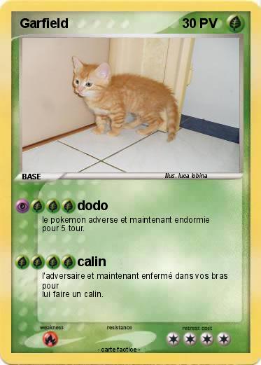 Pokemon Garfield