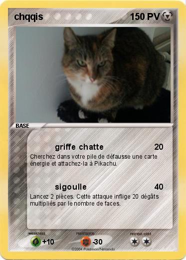 Pokemon chqqis