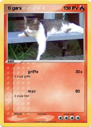 Pokemon  ti gars