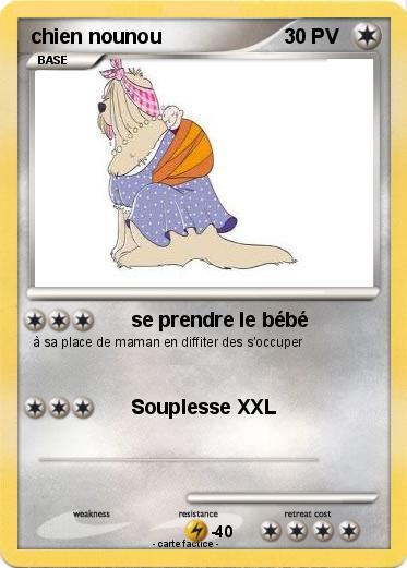 Pokemon chien nounou
