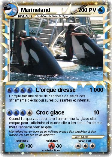 Pokemon Marineland