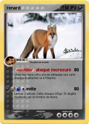 Pokemon renard