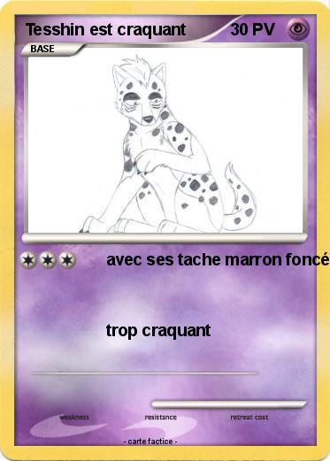 Pokemon Tesshin est craquant