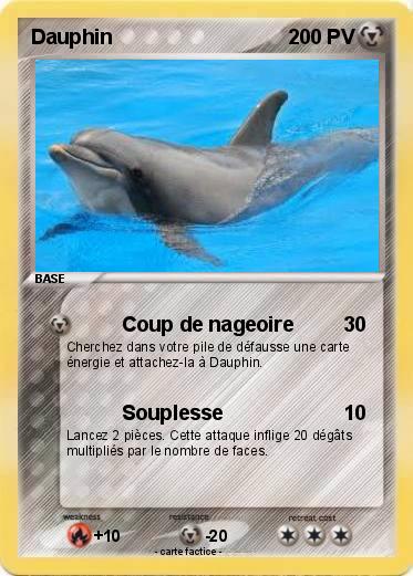 Pokemon Dauphin