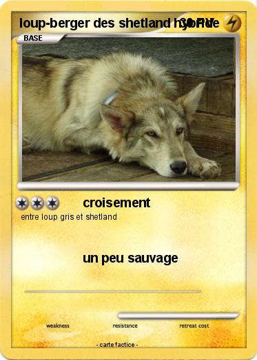 Pokemon loup-berger des shetland hybride