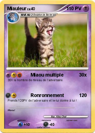 Pokemon Miauleur