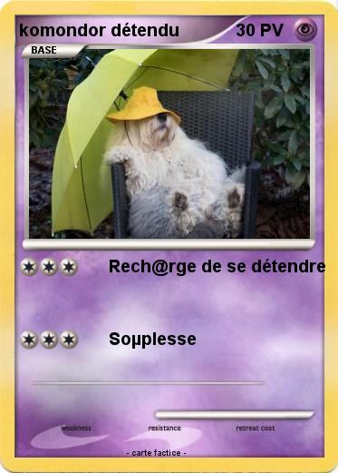 Pokemon komondor détendu