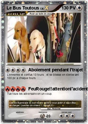 Pokemon Le Bus Toutous