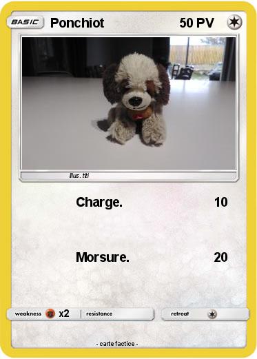 Pokemon Ponchiot