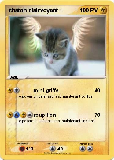 Pokemon chaton clairvoyant