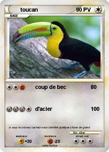 Pokemon toucan