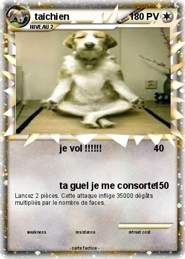 Pokemon taichien