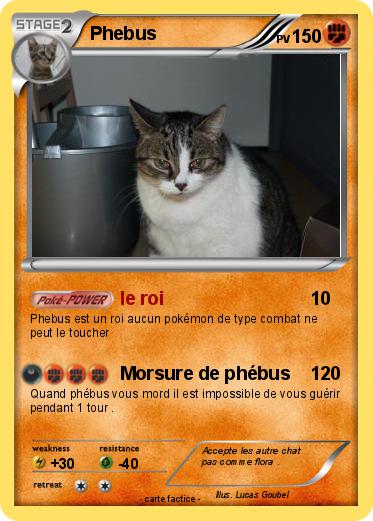 Pokemon Phebus