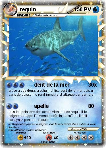 Pokemon requin