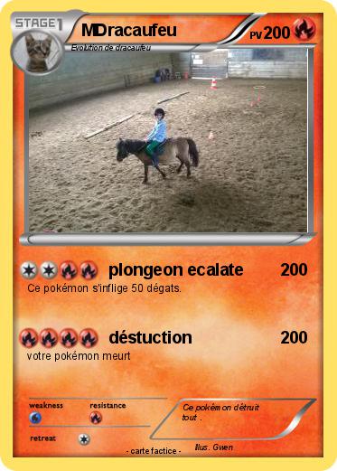 Pokemon MDracaufeu